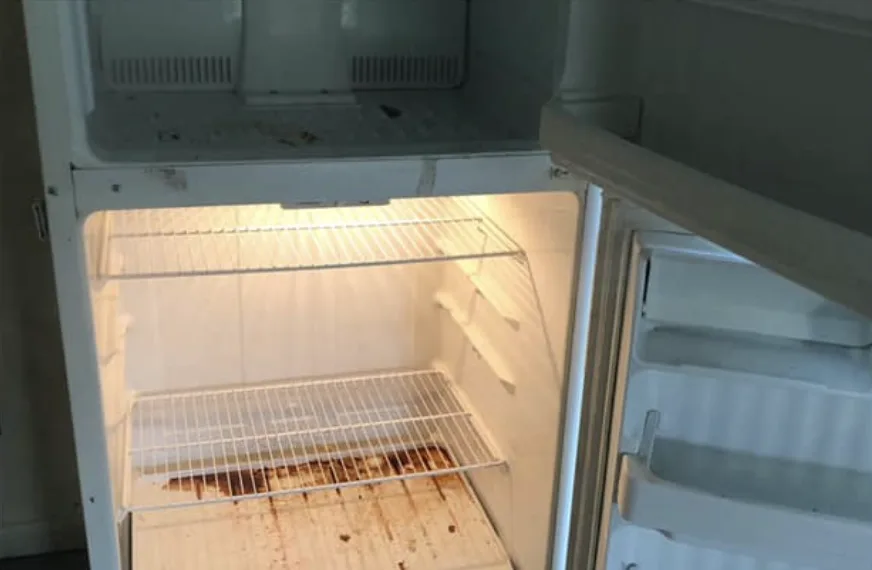 Before: refrigerator interior